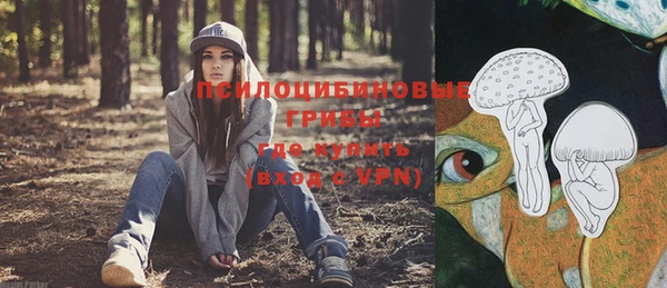 прущие грибы Алексеевка