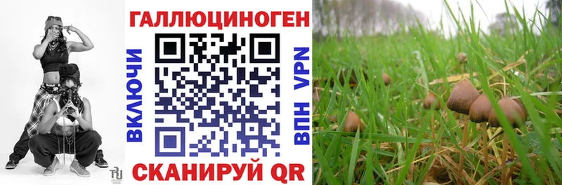 Галлюциногенные грибы мухоморы ОМГ ОМГ зеркало Рыбное